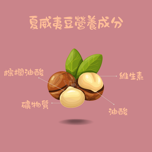 『買十送一』Nutworks 帶殼夏威夷豆 200g/500g 原味/鹽味/香草