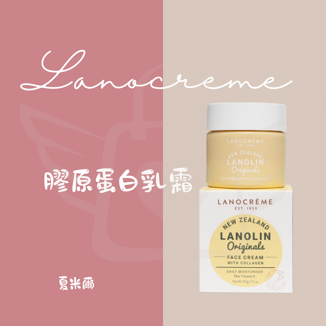 蘭儂 Lanocreme 綿羊面霜 100g